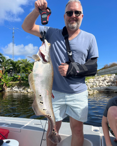 Channel Catfish, Delray Beach fishing