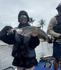 A person fishing in Delray Beach
