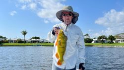 Fisherman catches a 14-inch fish in Delray Beach