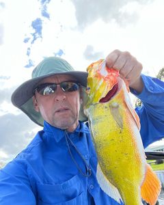 Fishing in FL with 1 fish
