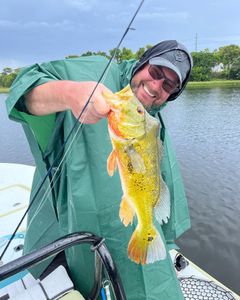 1 angler fishing in FL