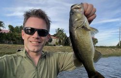 Largemouth Bass caught while fishing in Florida