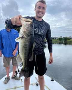 Largemouth Bass caught while fishing in FL