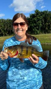 Peacock bass caught while fishing in FL