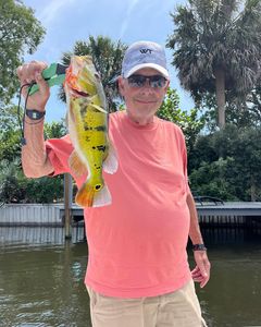 A photo of a peacock bass caught fishing in FL