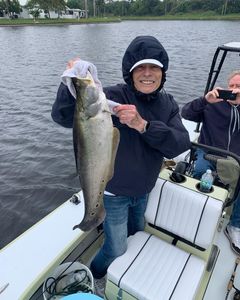 A pollock fish caught while fishing in FL