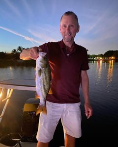 Striped bass caught while fishing in FL