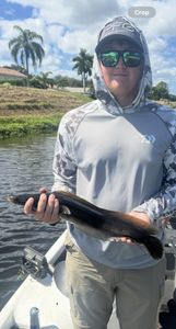 One person fishing in FL