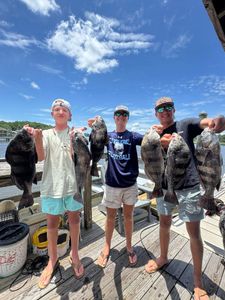 Five black drum caught during fishing trip in SC