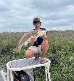 Redfish caught at Edisto Beach