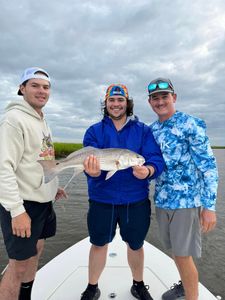 A Redfish caught in Edisto Beach