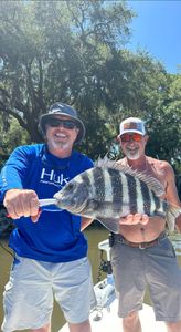 Sheepshead fish caught while fishing at Edisto Beach