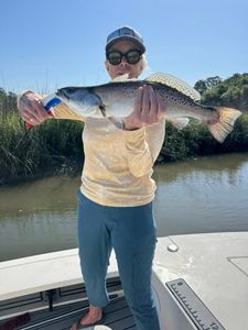 Spotted weakfish caught fishing at Edisto Beach