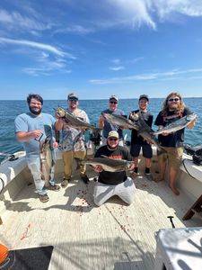 Anglers caught 3 rainbow trout in NY