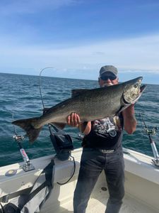 Chinook salmon caught fishing in NY