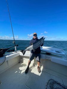 A single Chinook Salmon, a large fish caught while fishing in Olcott