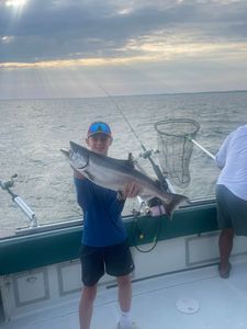 Chinook salmon fishing in NY