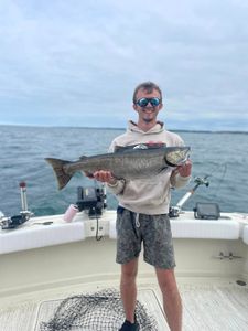 Chinook Salmon caught in Olcott during fishing