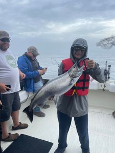 A single coho salmon caught in Olcott