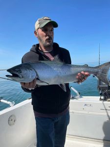Coho Salmon caught while fishing in Olcott