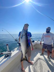 Photograph of a large lake trout caught while fishing in NY