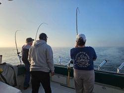 Fishing rods bent with fish on the line during charter fishing trip in Olcott NY
