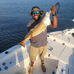 One angler fishing in Morehead City