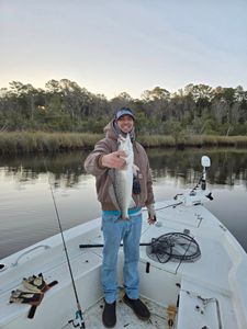 Spotted Weakfish, a 24-inch fish, caught in Morehead City