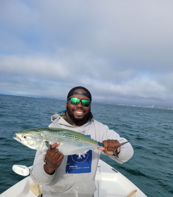 Little Tunny fish caught while fishing in NC