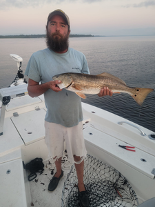 Redfish caught in Morehead City, North Carolina