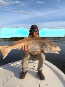 Redfish caught in Morehead City