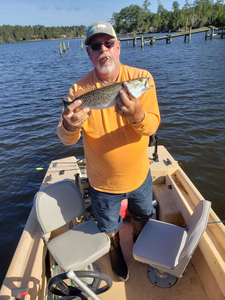 Spotted Weakfish caught while fishing in NC