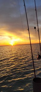 Serene Fishing In Texas