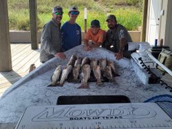 4 redfish caught on fishing trip in TX