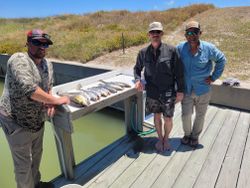 3 people fishing in TX
