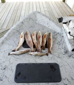 8 fishing at Port O'Connor