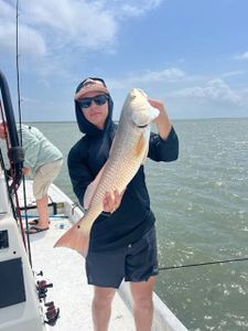 Redfish caught while fishing in Port O'Connor TX waters