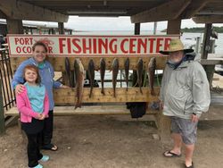 Display of caught redfish at Port O'Connor fishing center in Texas
