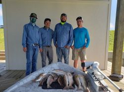 Three redfish caught in TX
