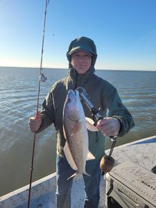 Redfish caught in TX