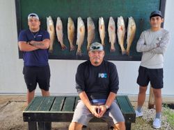 Redfish catch in Texas