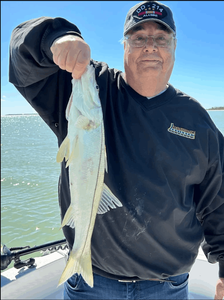 Snook Caught on our Florida Fishing Charters