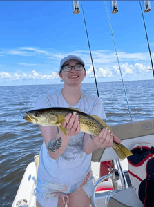 Lone angler fishing at Cape Coral
