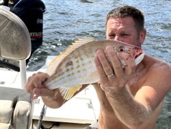 Angler catches one fish while fishing in Cape Coral
