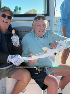 Cape Coral bonnethead shark makes for great fishing action!