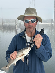 Cape Coral redfish ready for the cooler!
