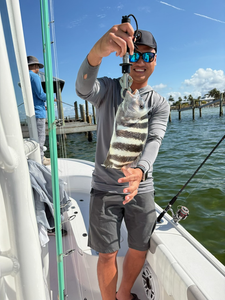 Nice Cape Coral sheepshead with classic stripes!