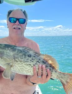 Gag Grouper fish caught while fishing in FL