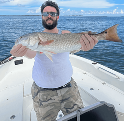 Redfish caught by angler in Cape Coral