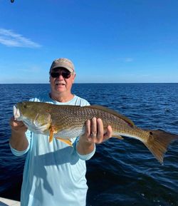 Redfish caught by fisherman in Cape Coral